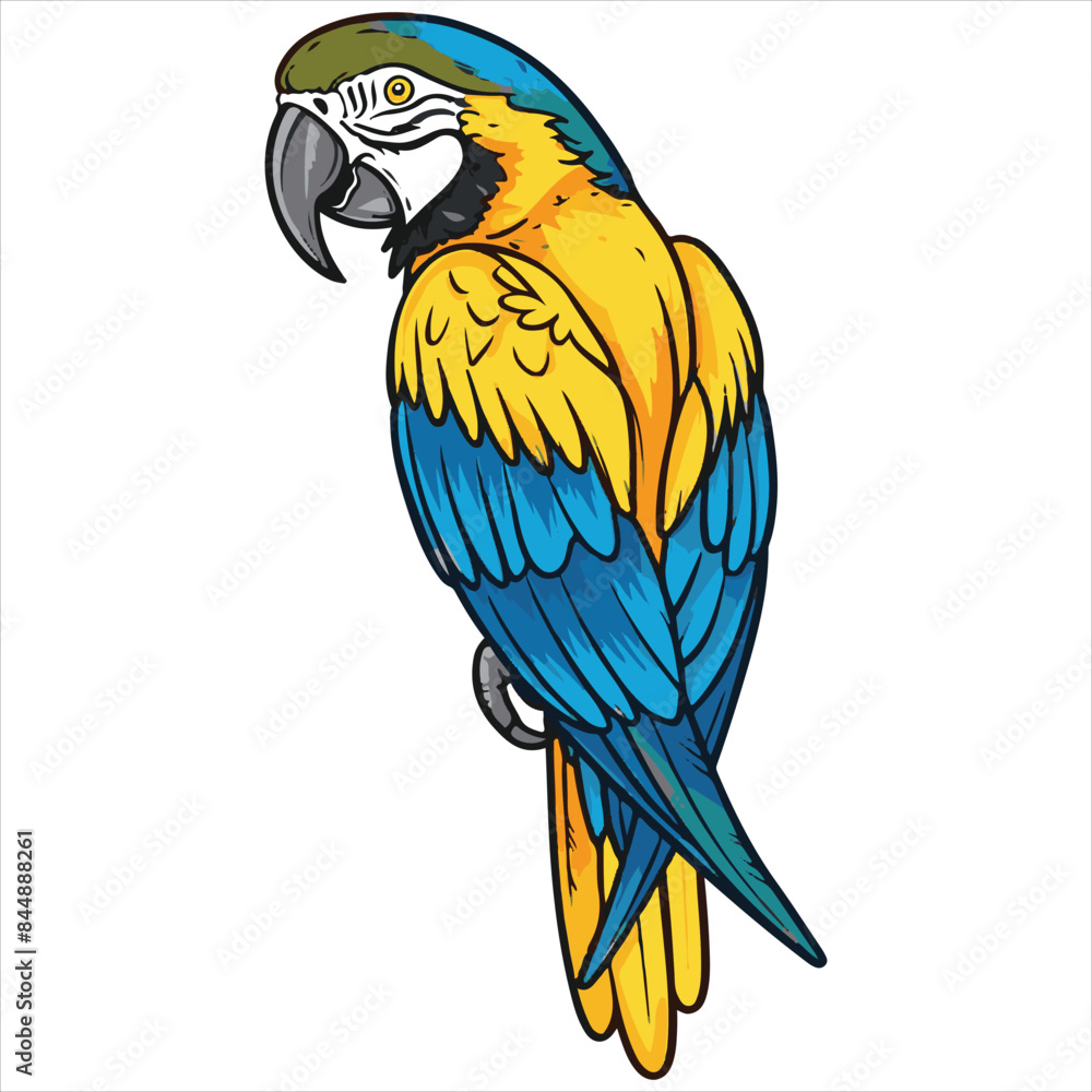 Fototapeta premium Parrot flat vector illustration Parrot cartoon vector illustration