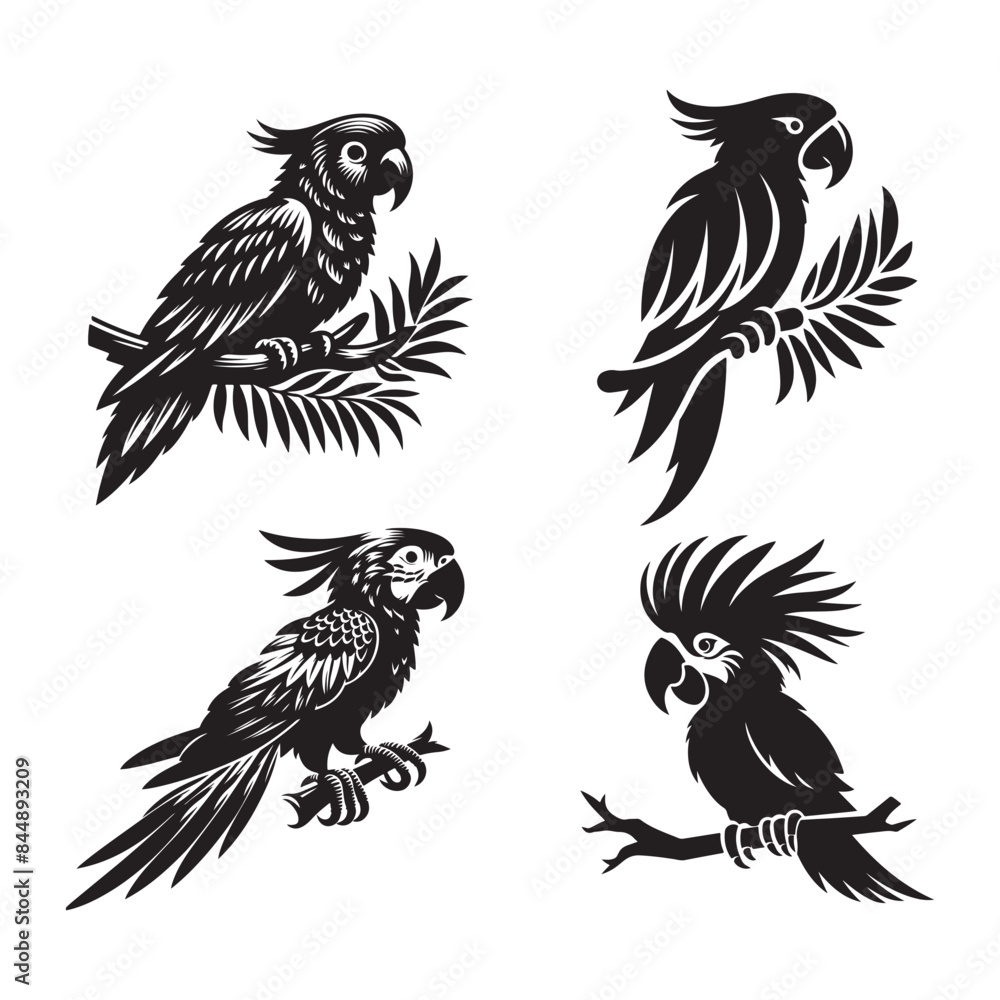 Parrot vector silhouette Parrot vector silhouette