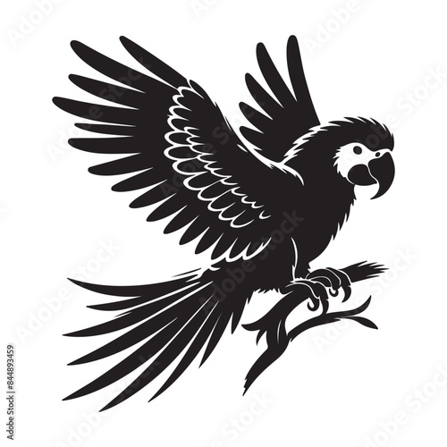 Parrot vector silhouette