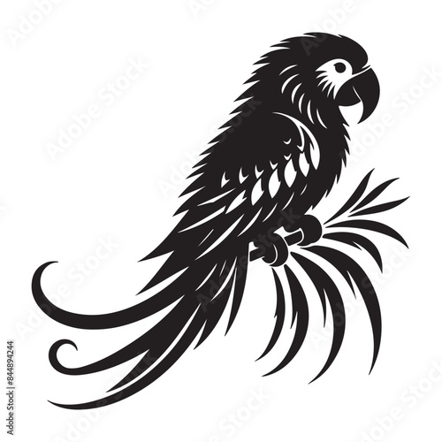 Parrot vector silhouette