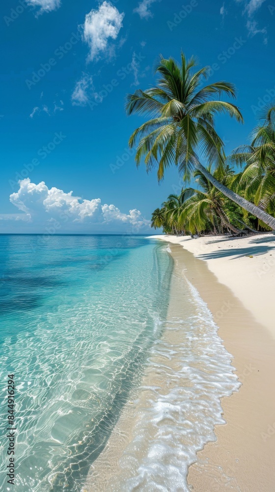 Naklejka premium A tropical beach with palm trees and white sand