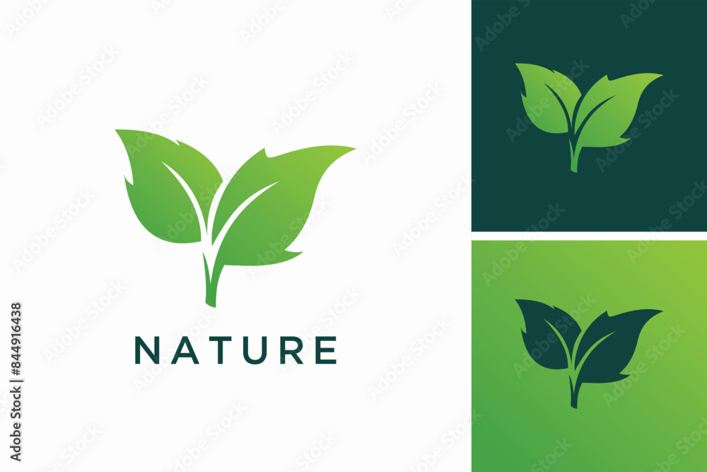 Leaf ecology nature element icon vector logo design inspiration Leaf ecology nature element icon vector logo design inspiration