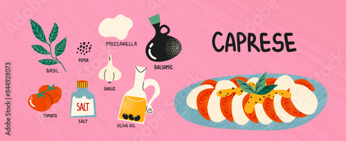 Italian caprese salad with tomatoes, mozzarella and oil. Constructor for dishes of national Italian cuisine. Cartoon illustration of recipe and ingredients for cafe and restaurant