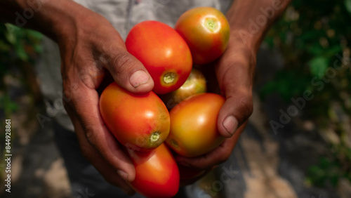Fotografie Agricultura en Honduras