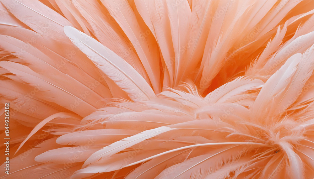 Whispers of Elegance: Soft Harmony of Delicate Orange and Pink Feathers Whispers of Elegance: Soft Harmony of Delicate Orange and Pink Feathers