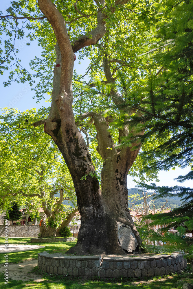 Village of Metsovo near city of Ioannina, Epirus Region, Greece Village of Metsovo near city of Ioannina, Epirus Region, Greece