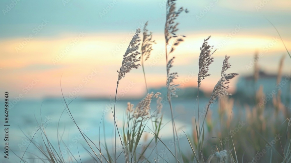 Defocused background image showcasing a charming coastal town set against a pastel sky and featuring a blurred foreground of tall grasses swaying in the gentle sea breeze. . Defocused background image showcasing a charming coastal town set against a pastel sky and featuring a blurred foreground of tall grasses swaying in the gentle sea breeze. .