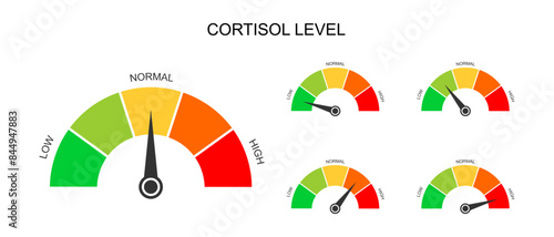 Set of cortisol meter gauges. Levels of body stress response hormone. Round charts with arrow from low to high isolated on white background. Vector flat illustration.