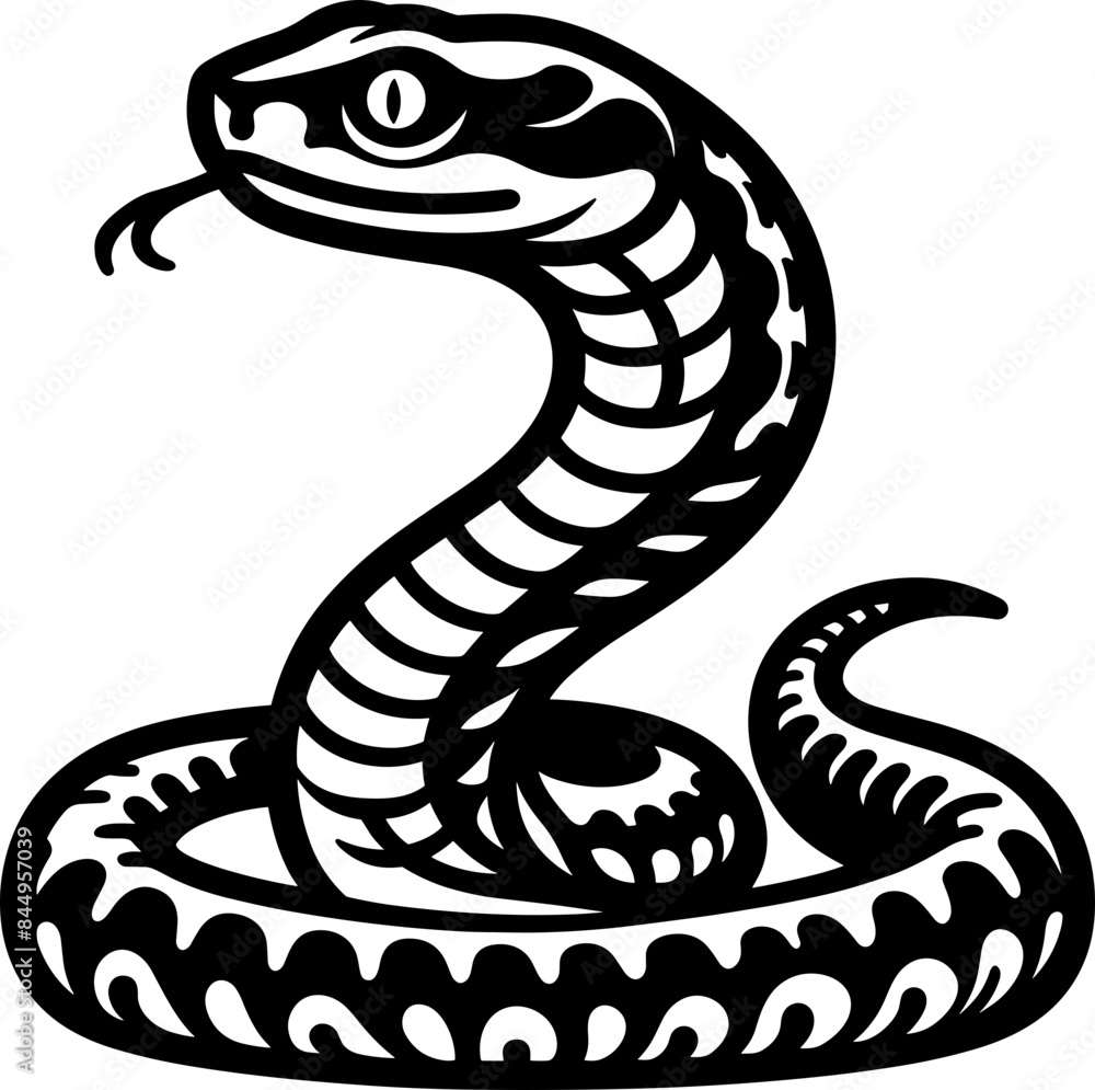 Fototapeta premium Viper Snake