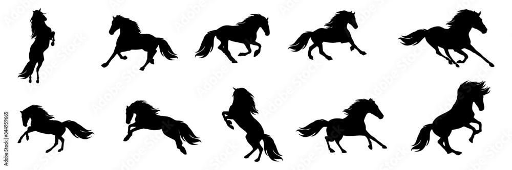 set silhouette illustration background horse set silhouette illustration background horse