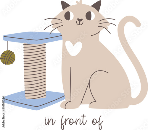 Cat In Front Of Scratching Post