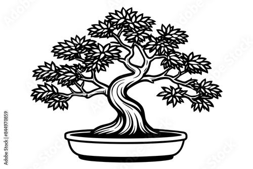 bonsai tree line art vector illustration