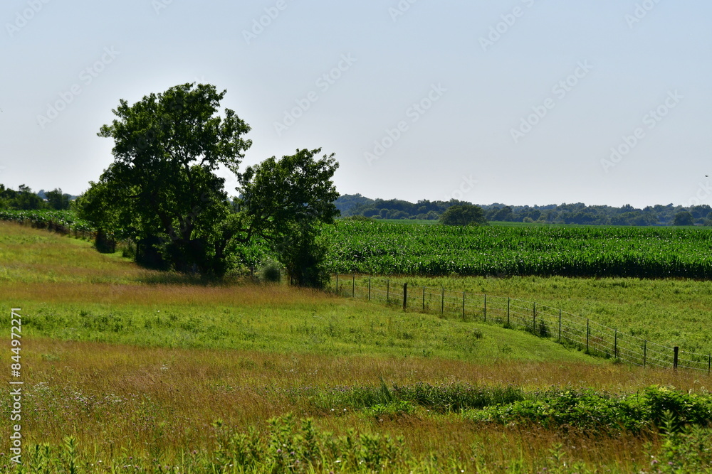 Obraz premium Farm Field