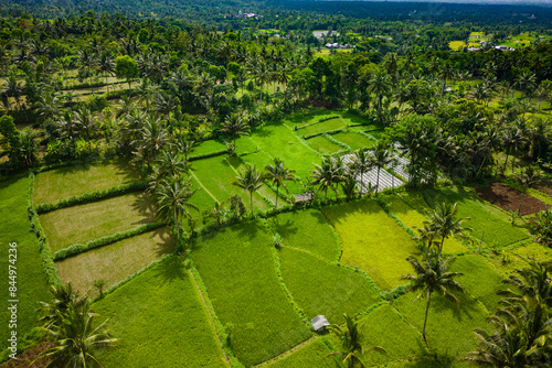 Aerial view of beautiful green rice terraces in Tetebatu, Lombok photo