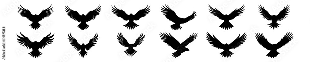 Fototapeta premium Eagle silhouettes set, pack of vector silhouette design, isolated background