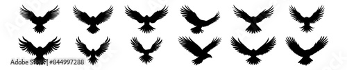 Eagle silhouettes set  pack of vector silhouette design  isolated background