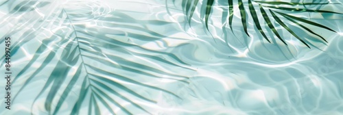 A closeup of clear, sparkling water in an infinity pool with palm leaves floating on the surface. © Lexyat