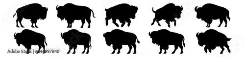 Buffalo silhouettes set, pack of vector silhouette design, isolated background photo
