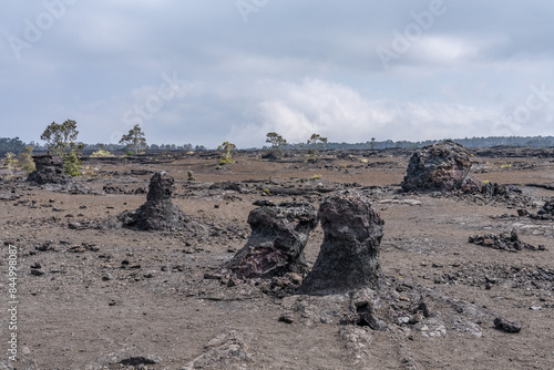 Lava molds of tree trunks / Lava tree mold, lava from the 1969 fissure vents. Hawaii Volcanoes National Park, Kīlauea volcano. A fissure vent, volcanic fissure, eruption fissure or simply a fissure