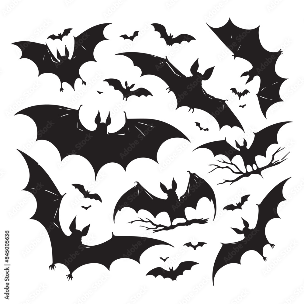 Fototapeta premium Silhouette set of bat. Vector isolated illustration