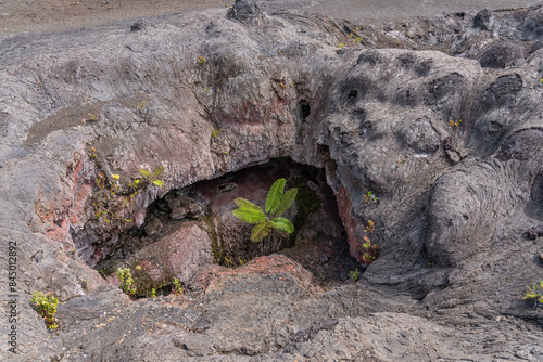 Plants grow from the 1969 fissure vents. Hawaii Volcanoes National Park, Kīlauea volcano. A fissure vent, volcanic fissure, eruption fissure or simply a fissure, is a linear volcanic vent 