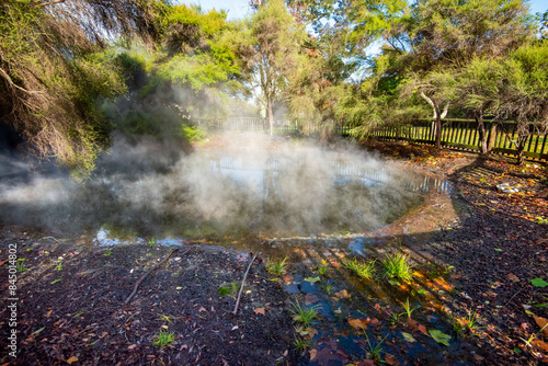 Kuirau Geothermal Park - Rotorua - New Zealand photo