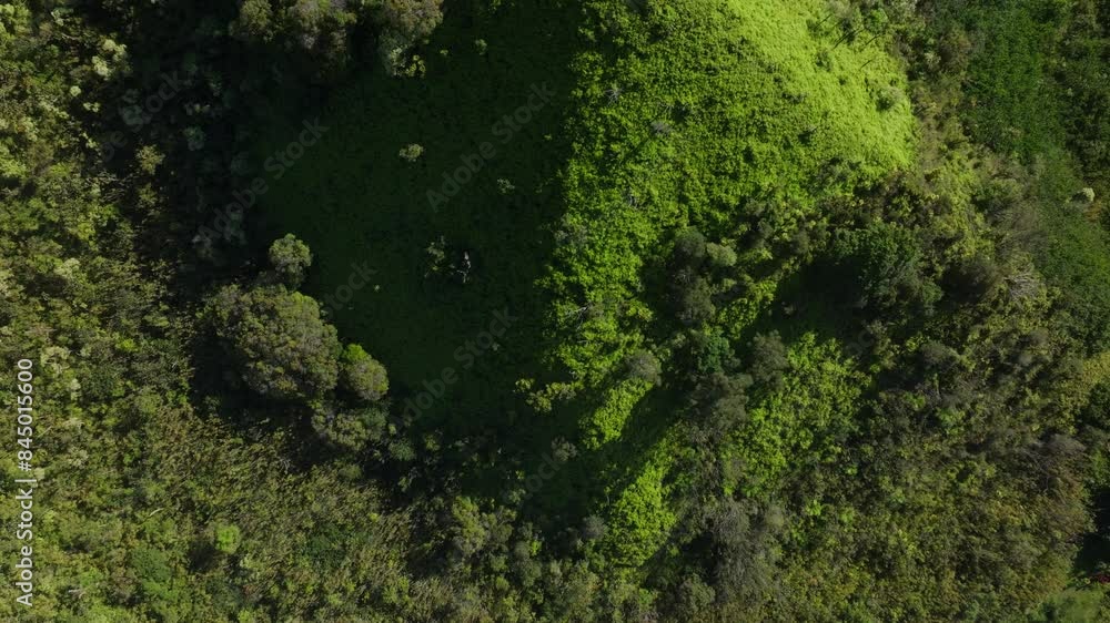 aerial birdseye view of a bright green foliage covered knife-edge ridge on the island of Maui in the state of Hawaii aerial birdseye view of a bright green foliage covered knife-edge ridge on the island of Maui in the state of Hawaii