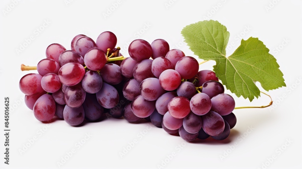 Fototapeta premium Grapes clipart, isolated on white background