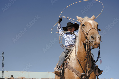 Western scene with young cowboy swinging rope from horseback on palomino horse, copy space on sky background.