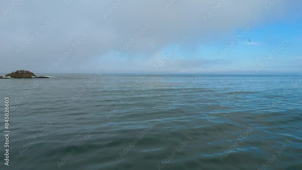 A mesmerizing low-angle sea journey towards a bird-filled island, with seagulls soaring overhead and the island teeming with resting birds on a cloudy day.