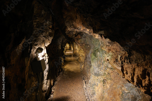 日原鍾乳洞の内部
