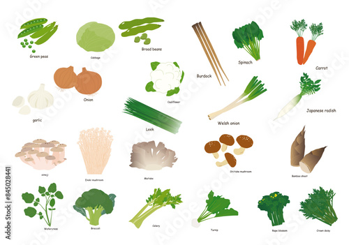野菜