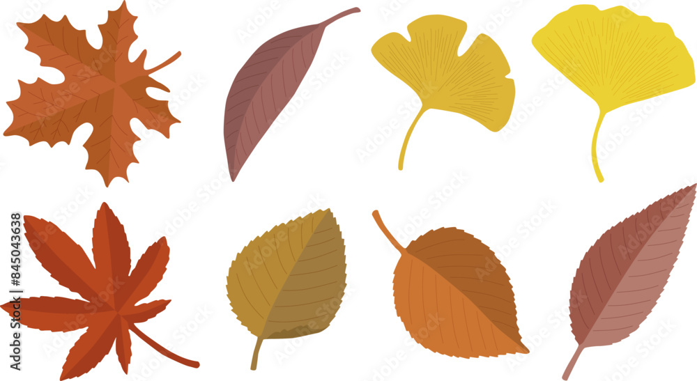 Obraz premium 落ち葉のベクターイラストセット