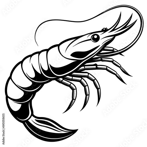 shrimp vector illustration
