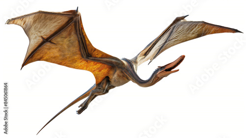 Realistic pterosaur with outstretched wings, gliding in flight, showcasing detailed textures and natural colors. © Ritthichai