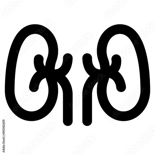 kidney icon