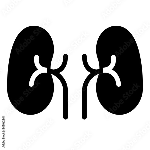 kidney icon