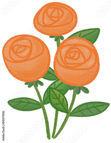 Orange Rose