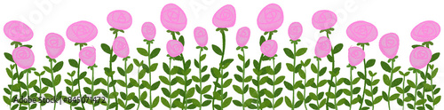 Pink roses  flowers border 