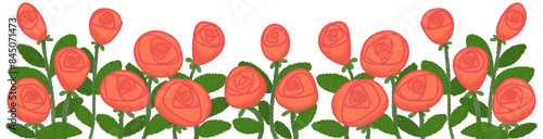 red Rose flowers border