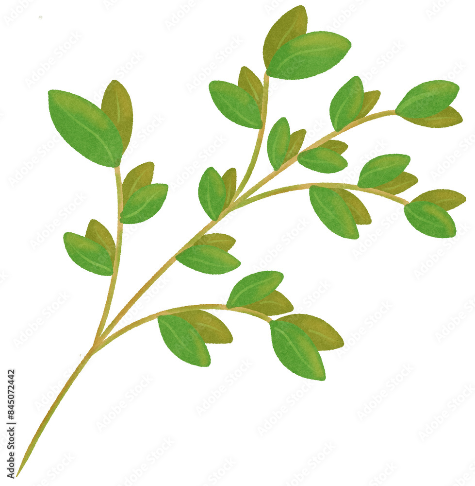 Naklejka premium Bouquet of leaves and flowers