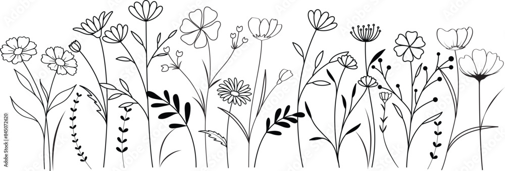 Wild Flower Outline Drawing Coloring Page for Kids and Adults