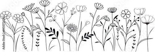Obraz na płótnie Wild Flower Outline Drawing Coloring Page for Kids and Adults w salonie