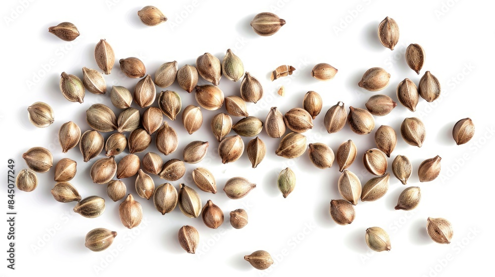 Hemp seeds arranged on a white background Hemp seeds arranged on a white background