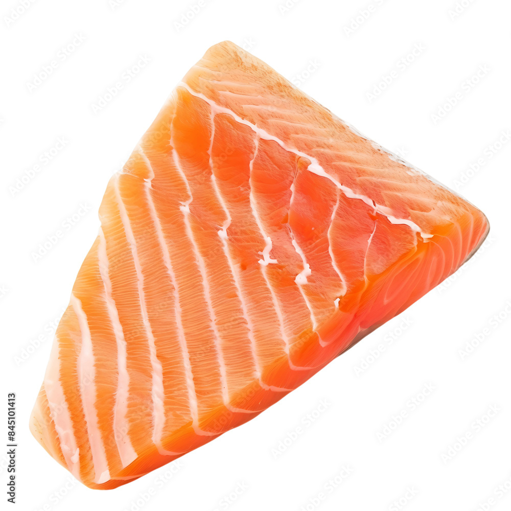 Fresh Salmon Piece Isolated Fresh Salmon Piece Isolated