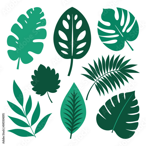 Set of tropical nature leaf silhouette vector illustrator on white background