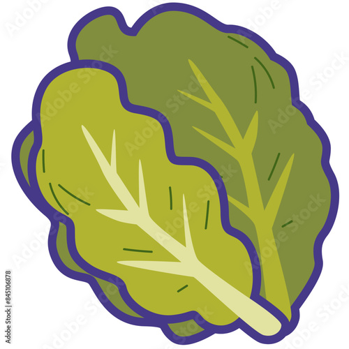 Chinese cabbage vegetable cartoon icon vector illustration, healthy green leafy vegetables