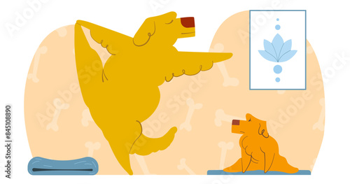 The first sports lesson for puppy