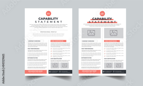 Capability Statement design with 2 style concept layout template