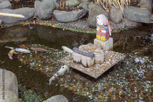 Photography colorful corps swimming in the pond with a small stone sculpture in sakuragi shi